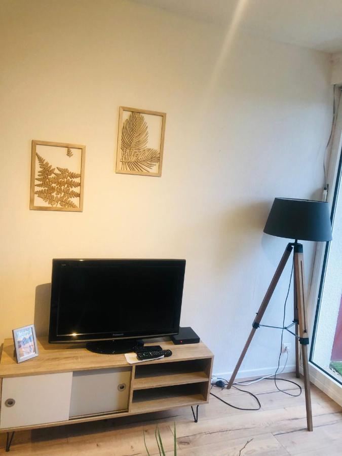 Le Petit Park-Studio-Terrasse- Piscine-Wifi Fibre Apartment Pau Exterior photo